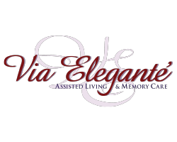 via-elegante-logo